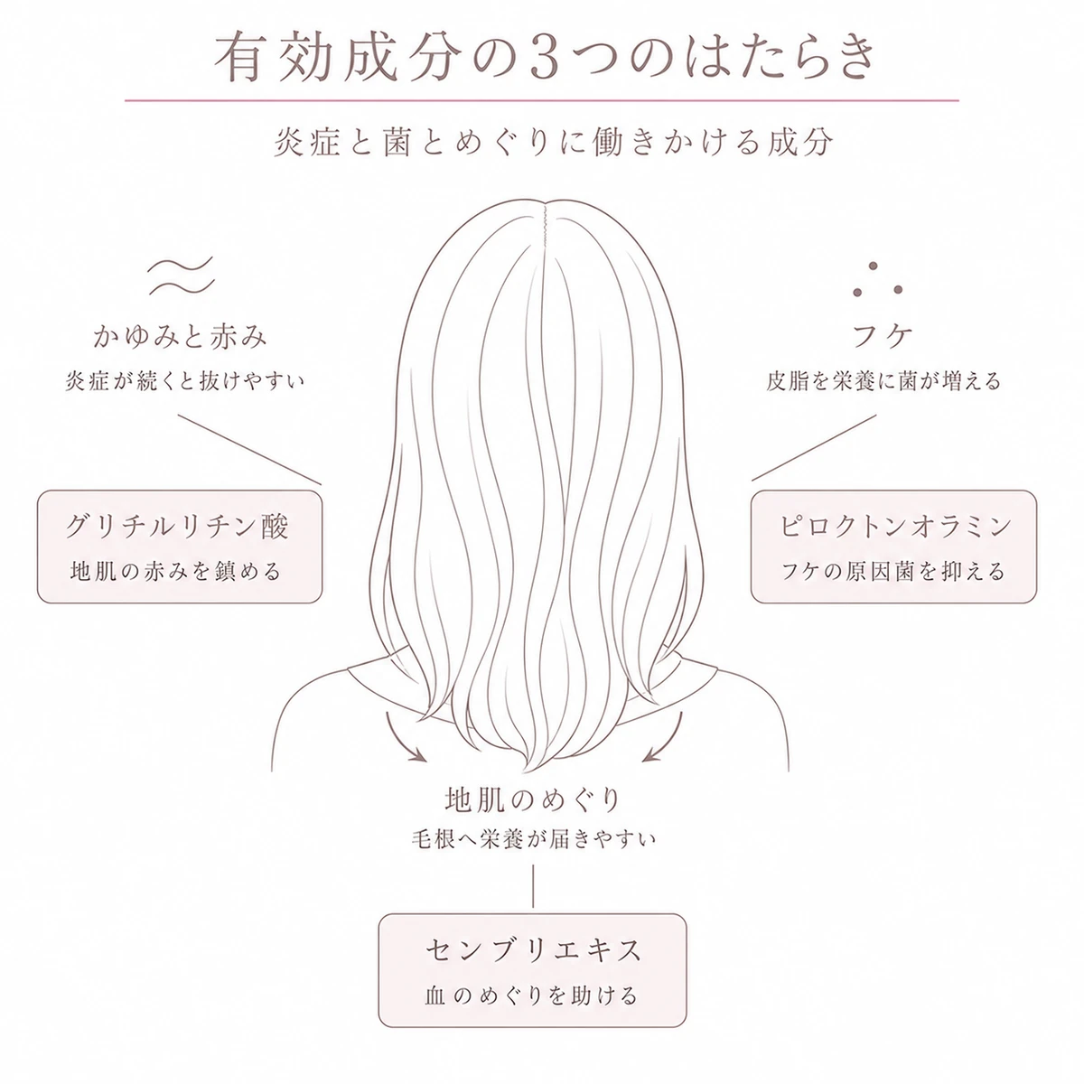 頭部を中心に抗炎症と抗菌とめぐりの成分を三方向へ放射状に配した線画イラスト