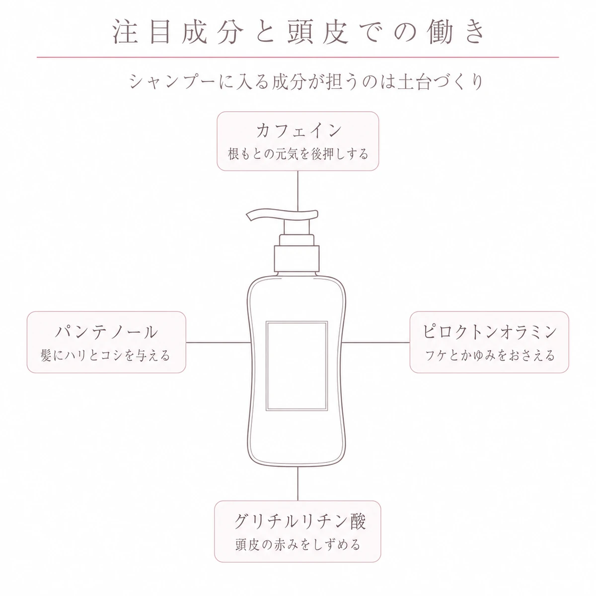 中央のポンプ型容器を囲んで四つの丸い印を置き、成分名と働きの一言をそえた線画