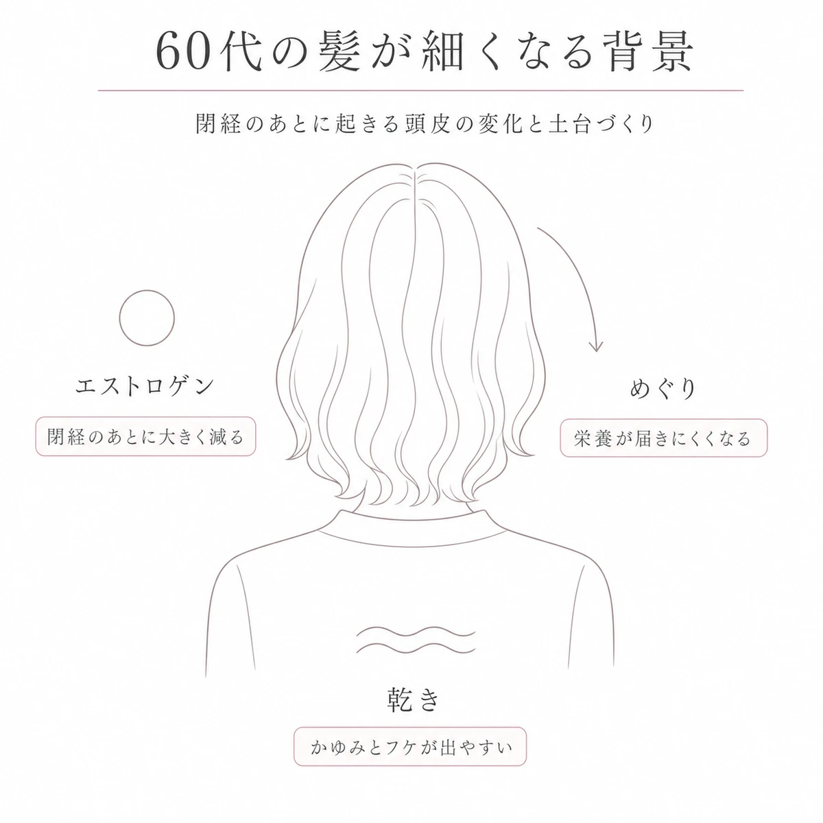 後ろ姿の頭部を中央に置き、ホルモンとめぐりと乾きの三つを丸い印とラベルで囲んだ線画