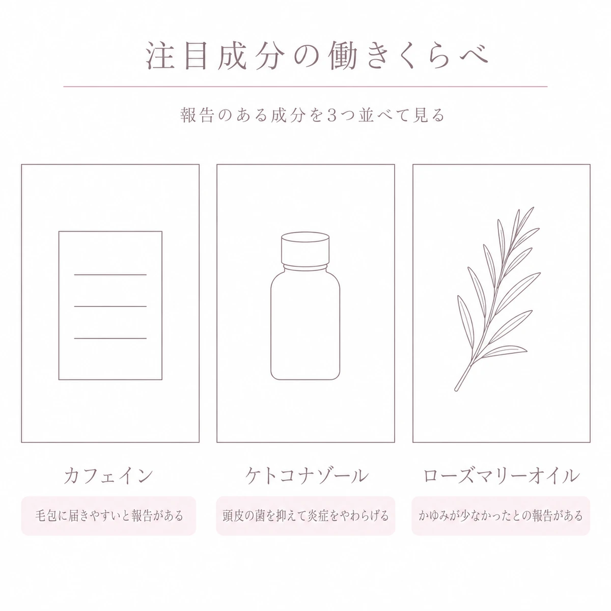 書類・小瓶・枝を入れた三つの枠で注目成分の働きを並べた線画