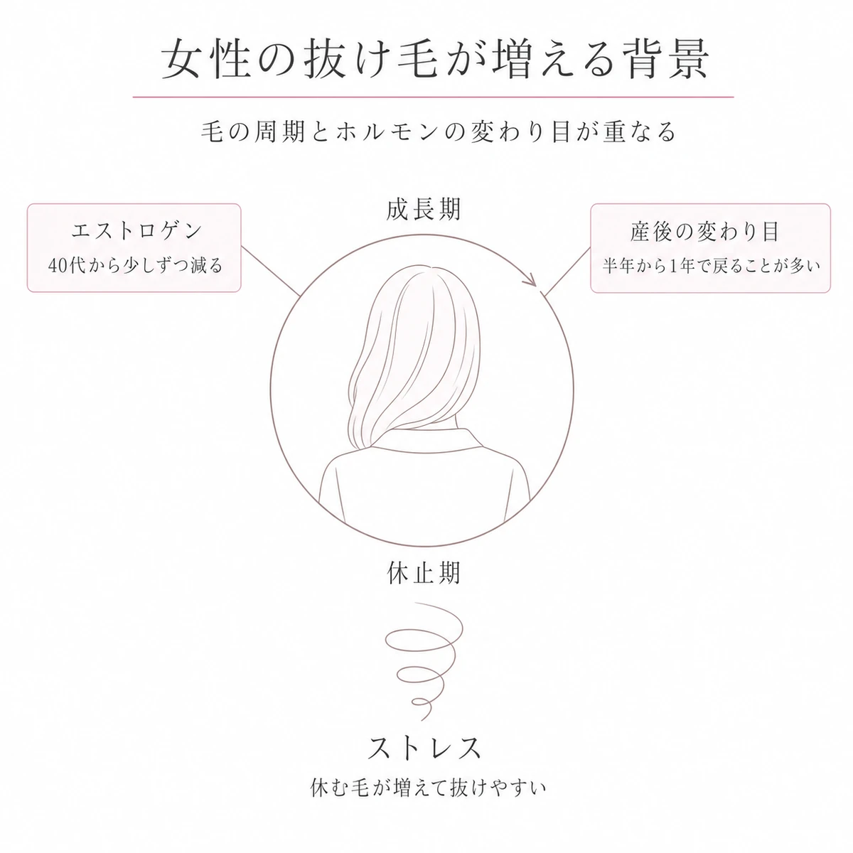 毛の周期の円環を中央に置き、ホルモンと産後とストレスの三つの原因を囲んだ線画