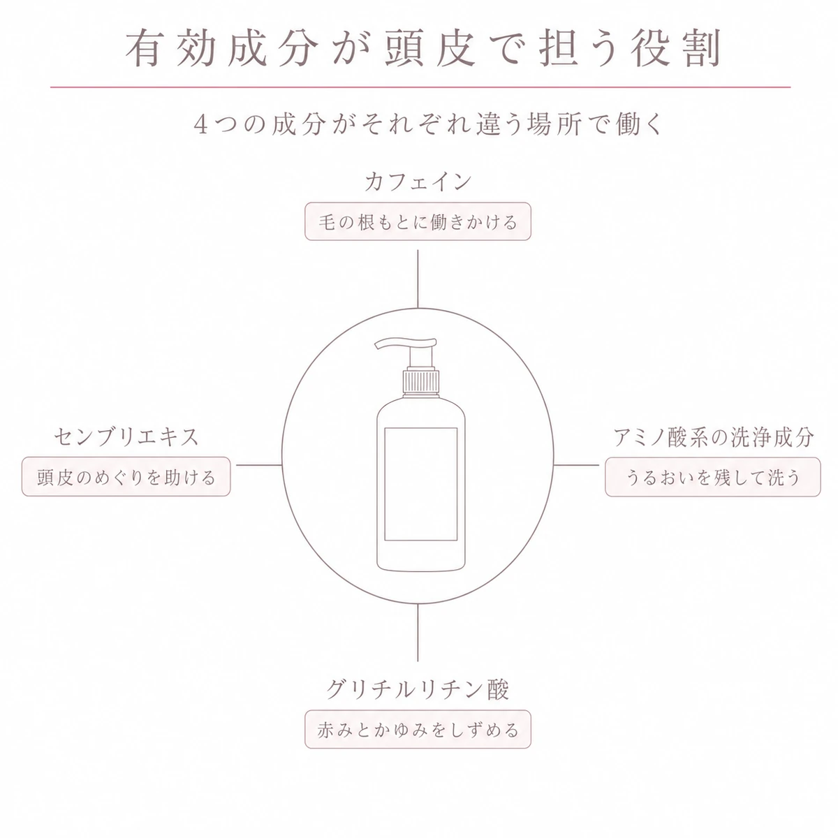 輪の中の容器を囲む四つの丸い印に、成分名と働きの一言をそえた線画