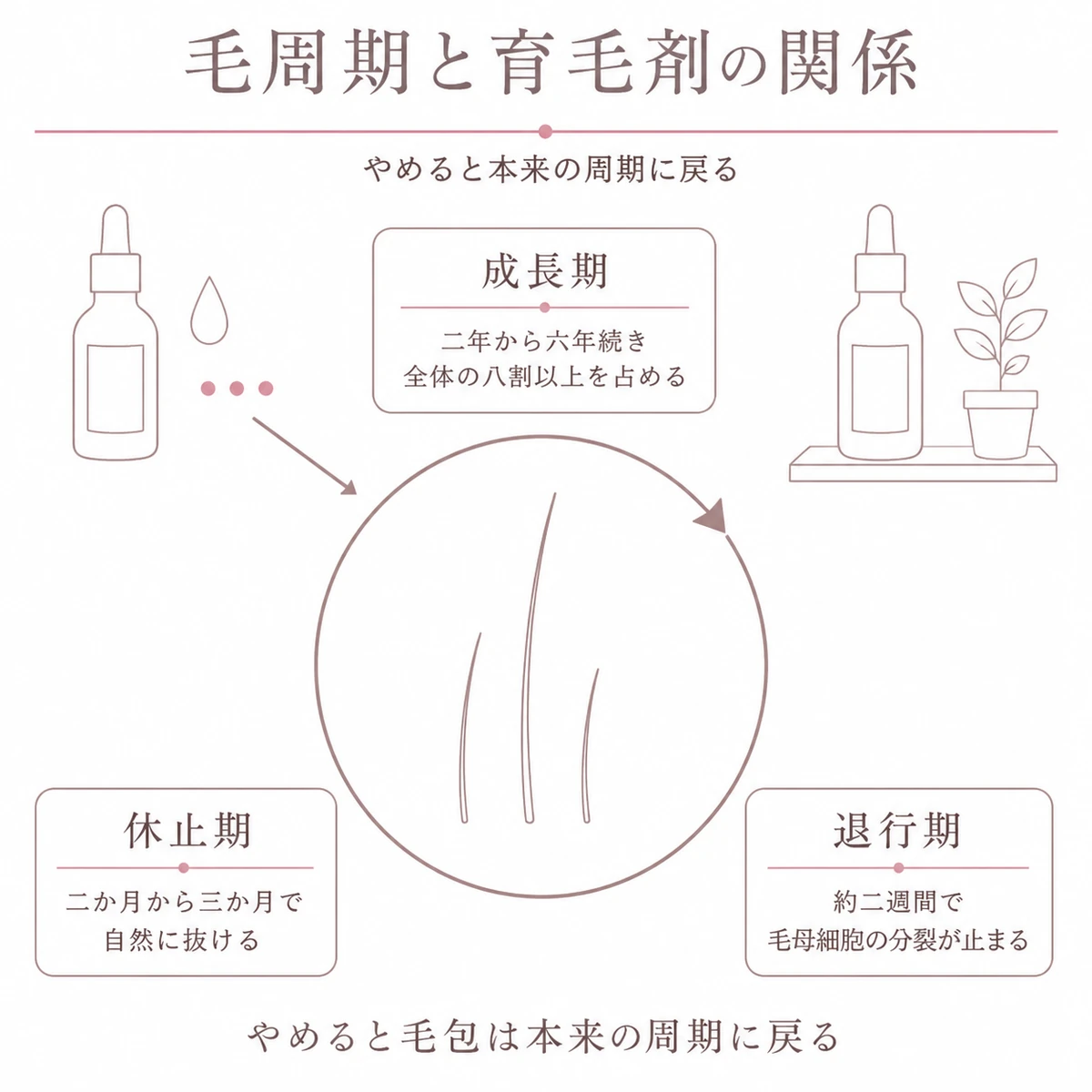 成長期と退行期と休止期の巡りに育毛剤がどう関わるかを円環で表したイラスト