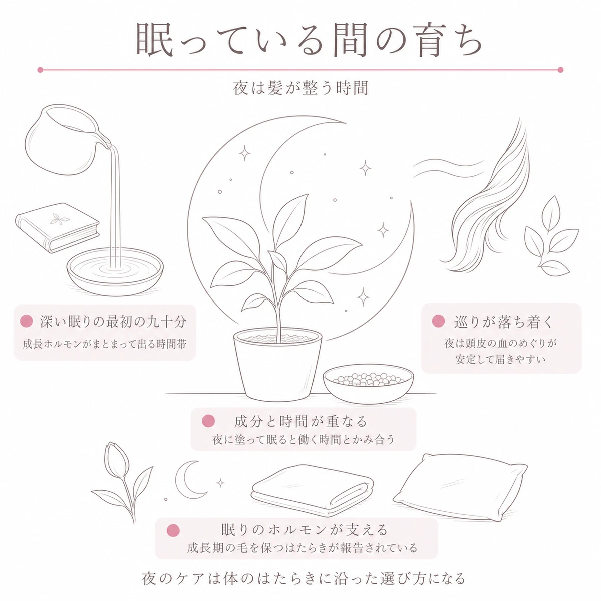 大きな月と若い株を中央に置き、注ぐ器と穏やかな流れと閉じた花で夜のはたらきを添えた線画イラスト