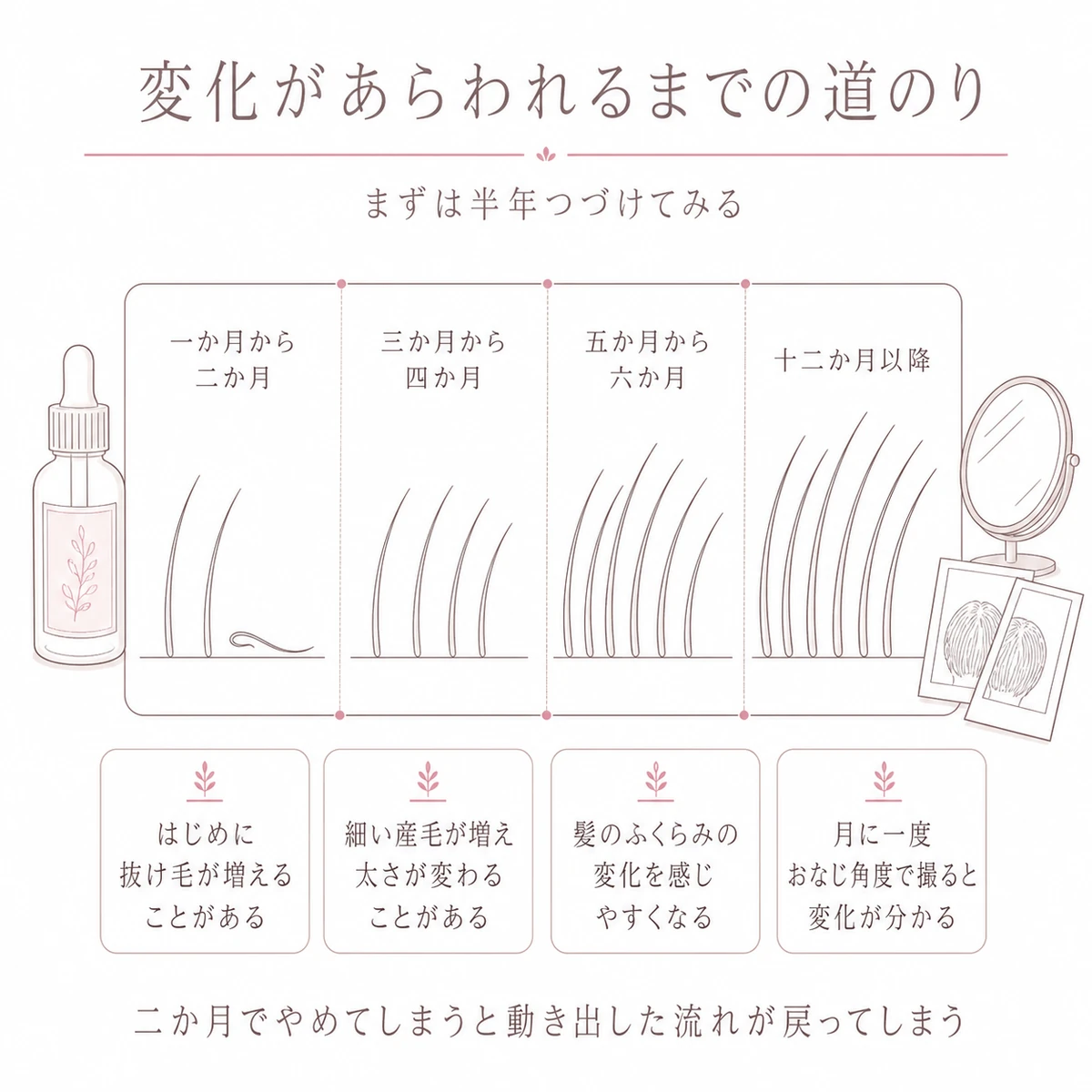 使い始めから十二か月までの髪の変化の目安を四つの区画の帯で追った図解イラスト