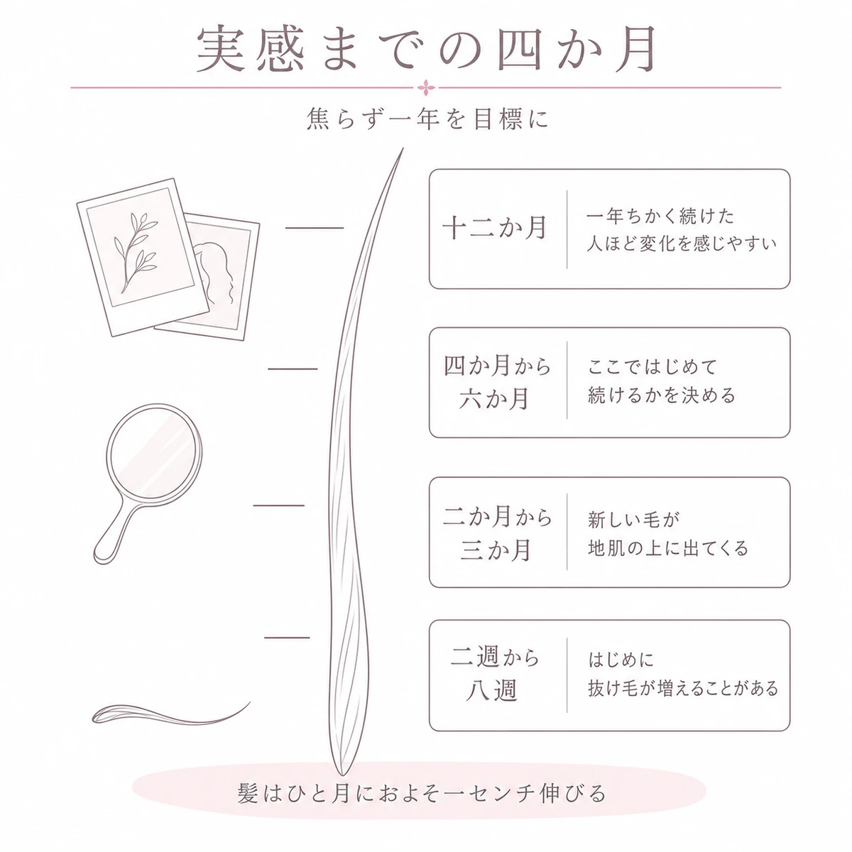一本の髪が伸びる線に沿って初期脱毛から一年までの経過の目安を並べたイラスト
