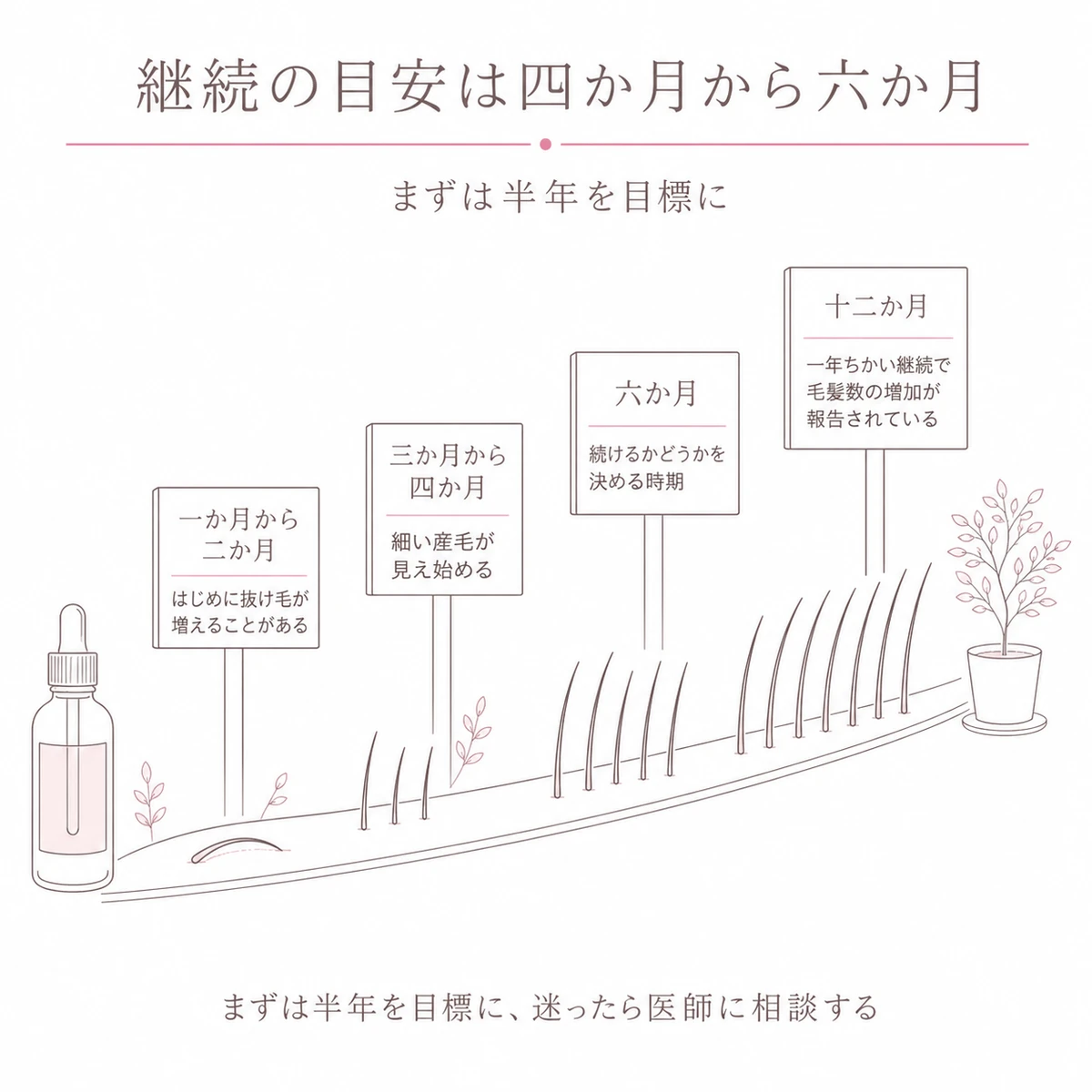 使い始めから十二か月までの変化の目安を道しるべの並ぶ道のりで描いたイラスト