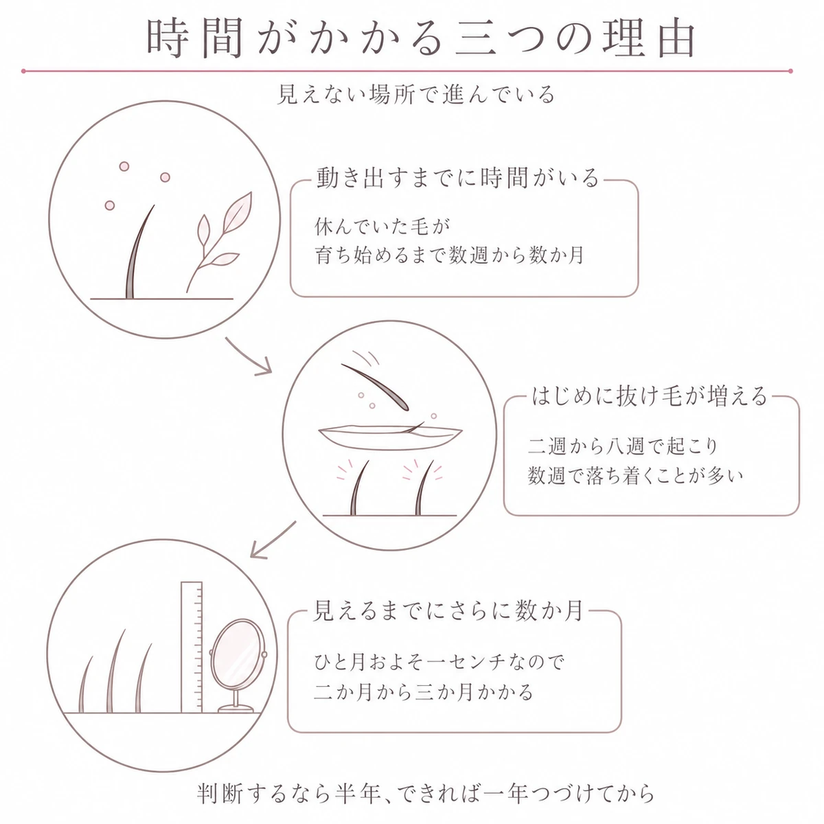 効果が見えるまでに時間がかかる理由を三つの丸フレームでたどった図解イラスト