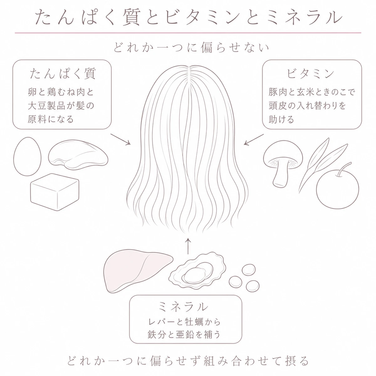 たんぱく質とビタミンとミネラルの食材が髪へつながる関係を描いたイラスト