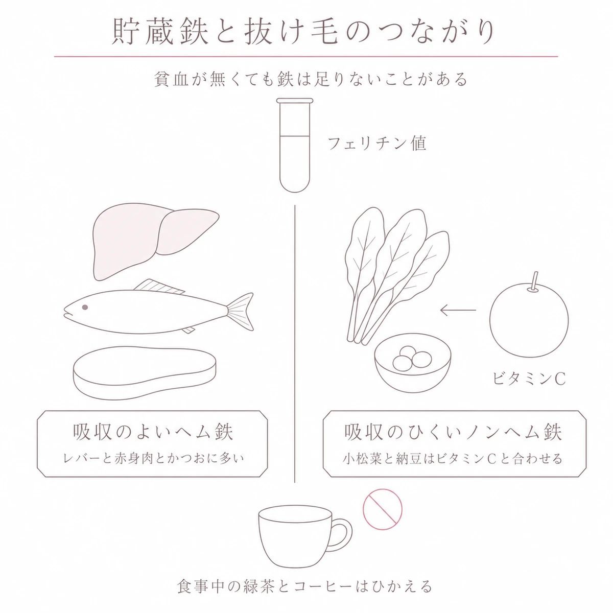 ヘム鉄とノンヘム鉄の食材を左右に並べて鉄分の摂り方を描いたイラスト