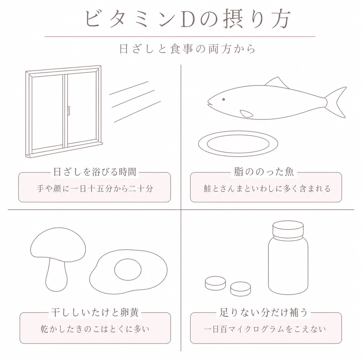 日ざしと魚ときのこと卵黄からビタミンDを補う四つの区画のイラスト