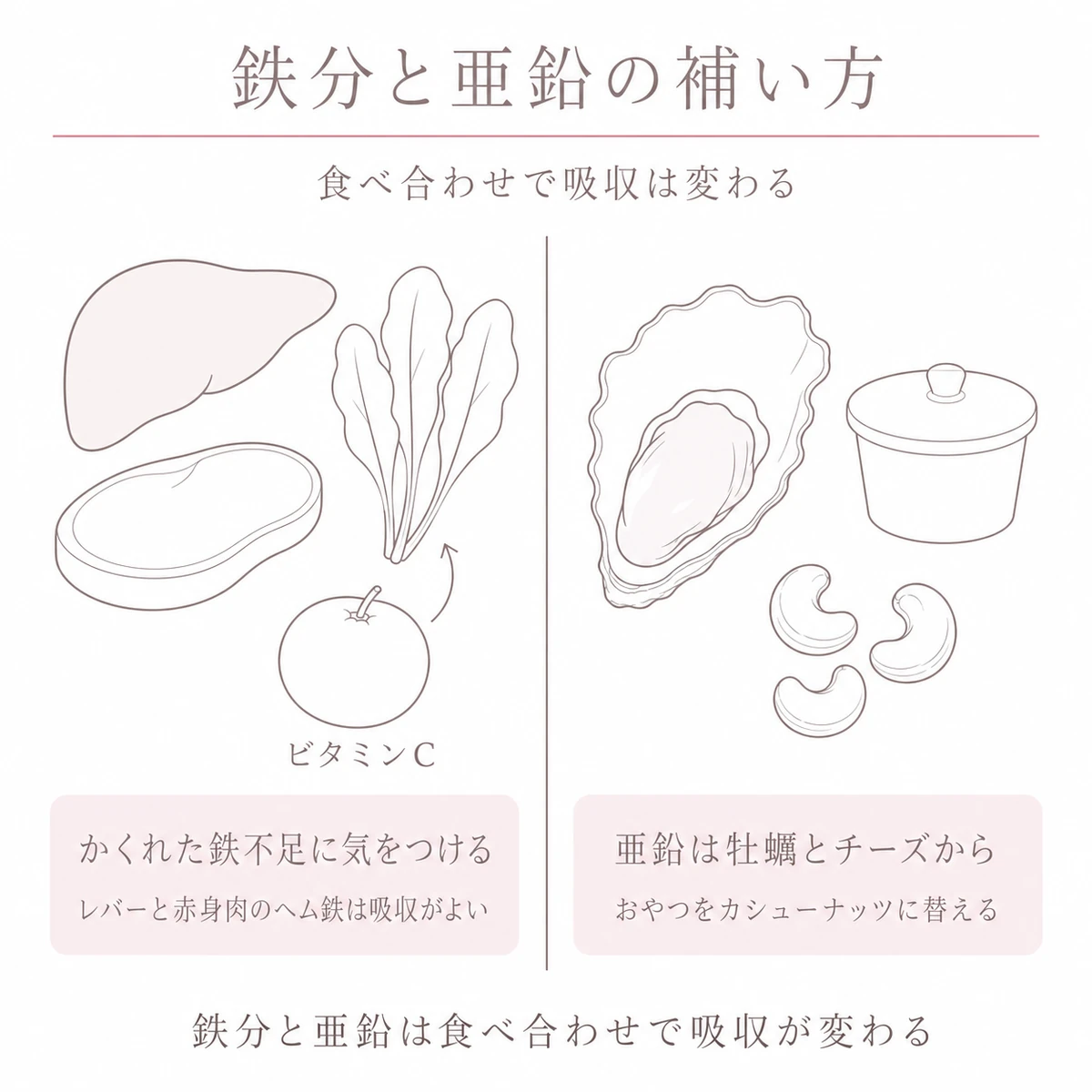 鉄分の食材と亜鉛の食材を左右に分けて吸収を助ける組み合わせを描いたイラスト