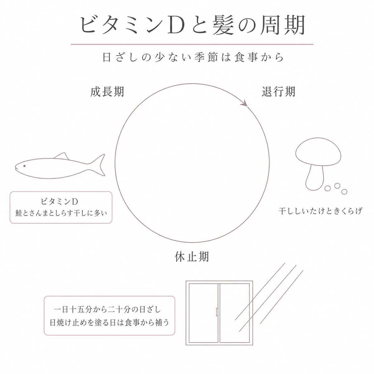 髪の成長の周期の円環とビタミンDを含む魚やきのこを配したイラスト