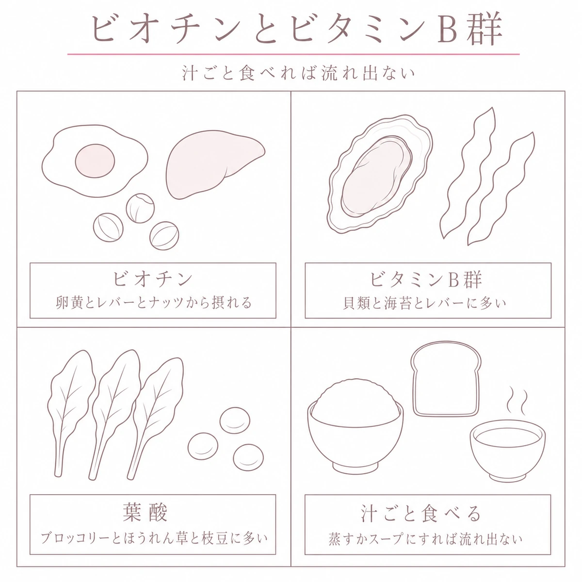 ビオチンやビタミンB群と葉酸を含む食材を四つの区画に分けて描いたイラスト