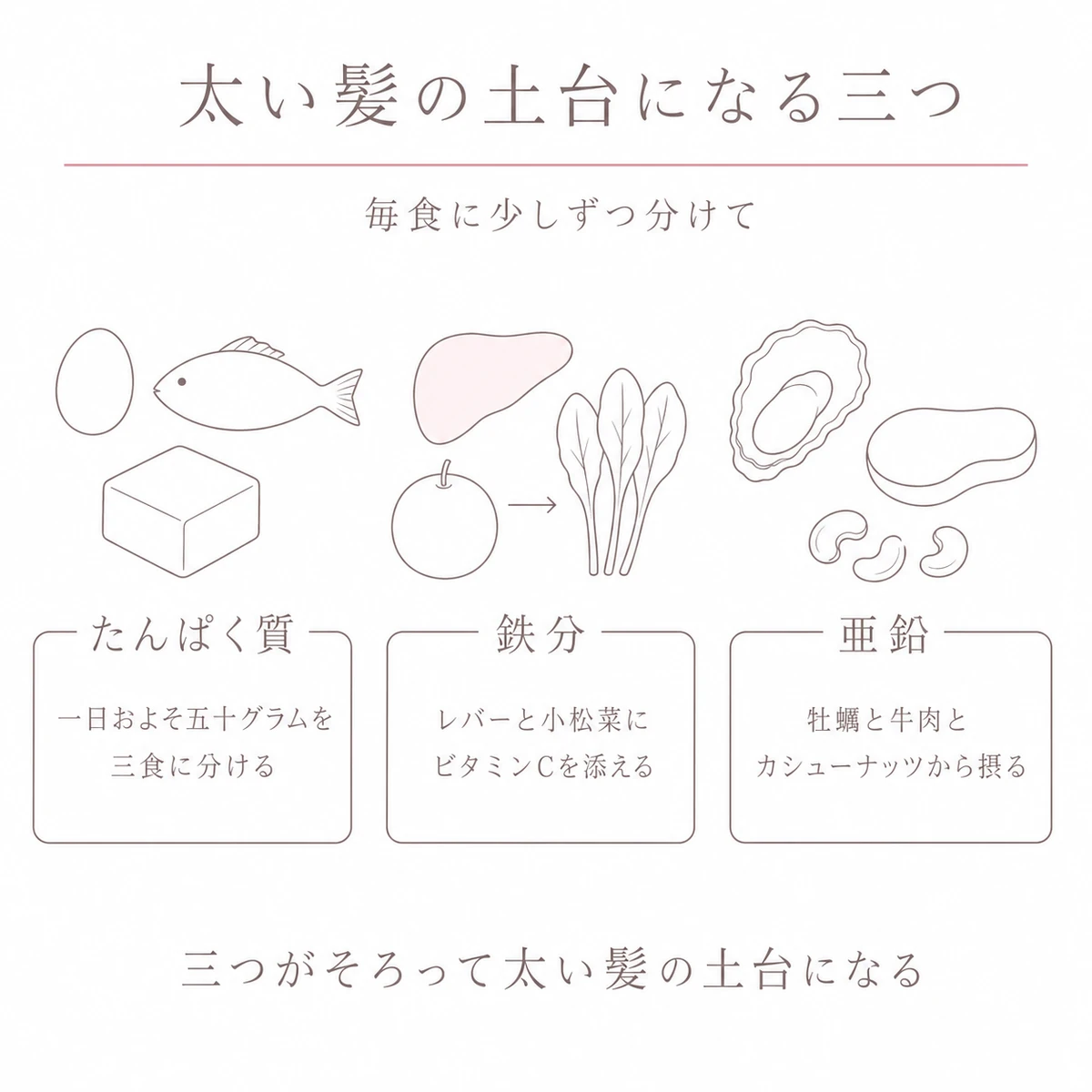 たんぱく質と鉄分と亜鉛を含む食材を三列に並べて髪の太さの土台を描いたイラスト