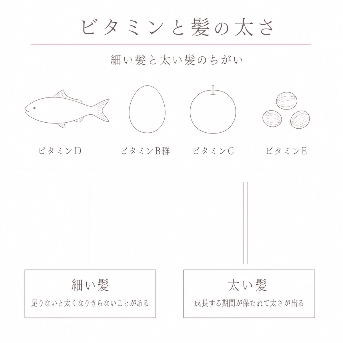 ビタミンDやビタミンB群を含む食材と髪の太さのちがいを上下に分けて描いたイラスト