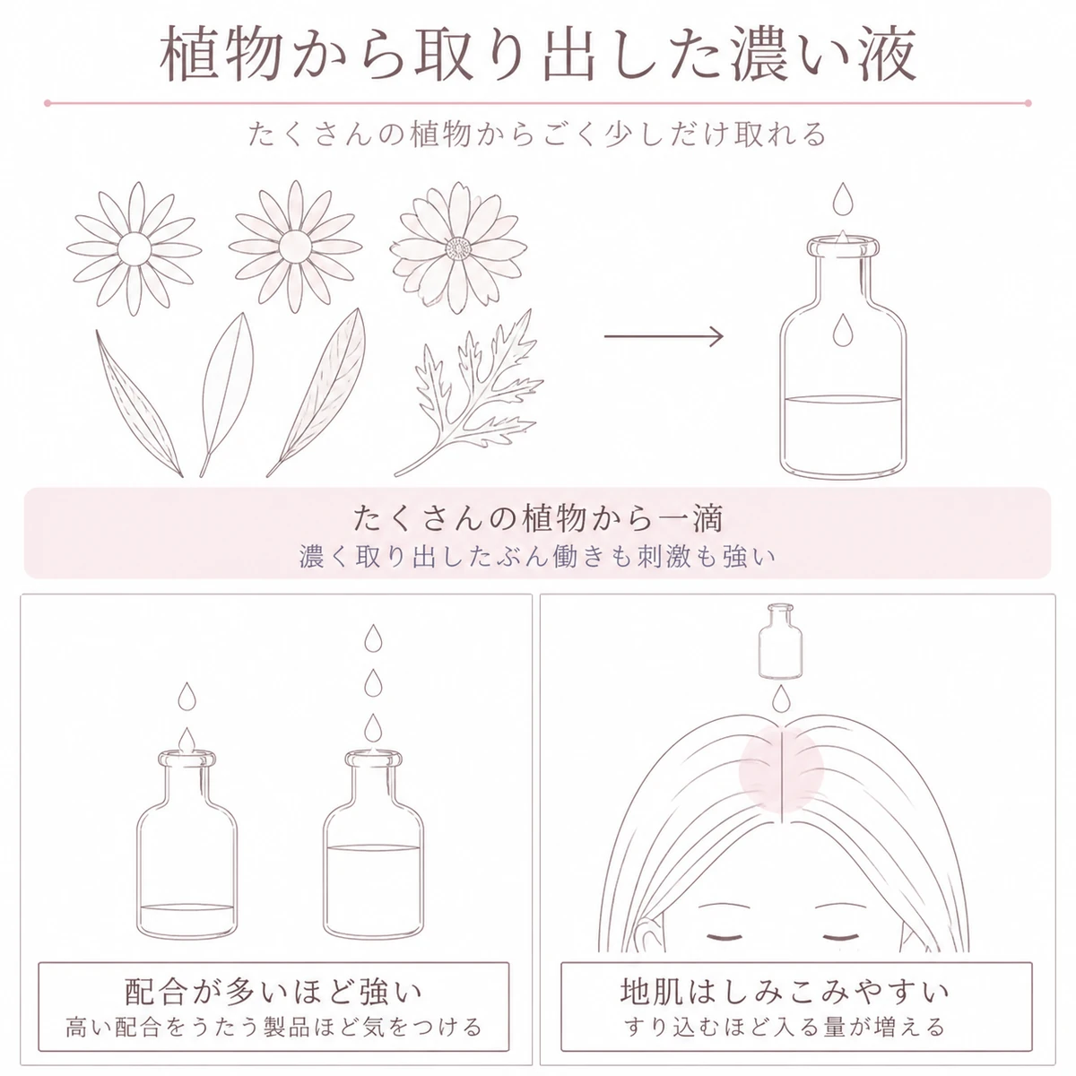 たくさんの植物から取り出した精油の濃さと地肌へのしみこみやすさを三つの区域に分けて描いたイラスト