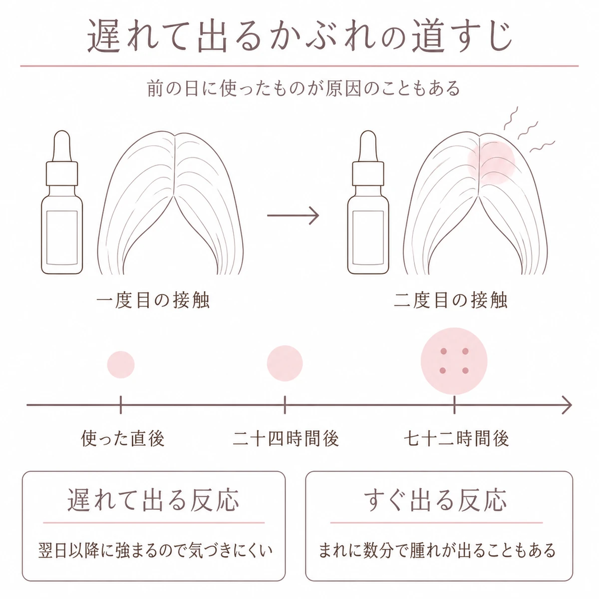 一度目と二度目の接触の違いと時間がたつほど強まる反応を上下二段に分けて描いたイラスト