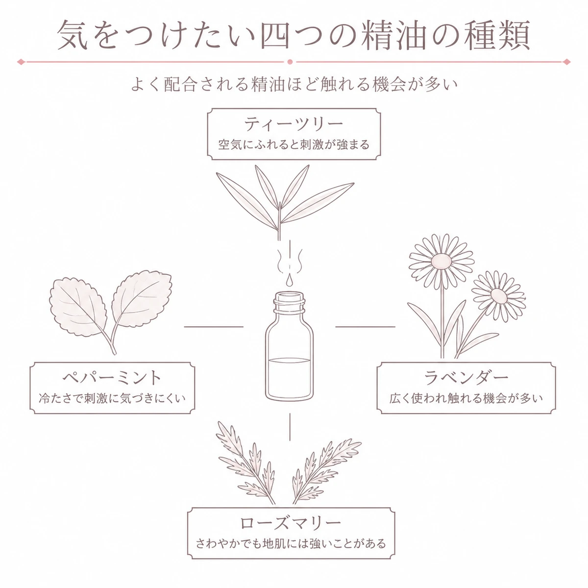 中央の小さなガラス瓶のまわりに報告の多い四種類の植物を配して精油の種類を描いたイラスト