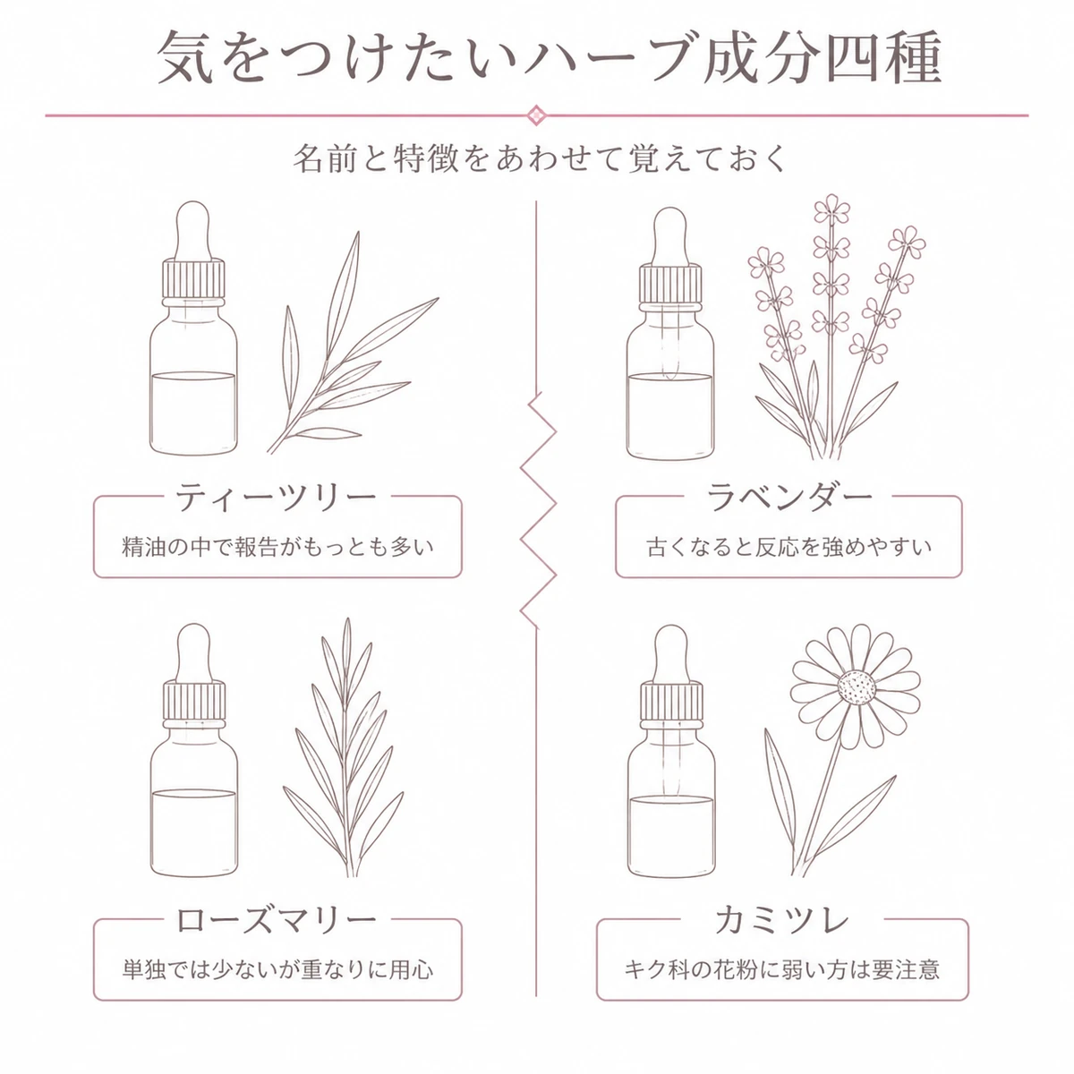 育毛剤に使われる四つのハーブを縦に並べ、それぞれの注意点を添えたイラスト