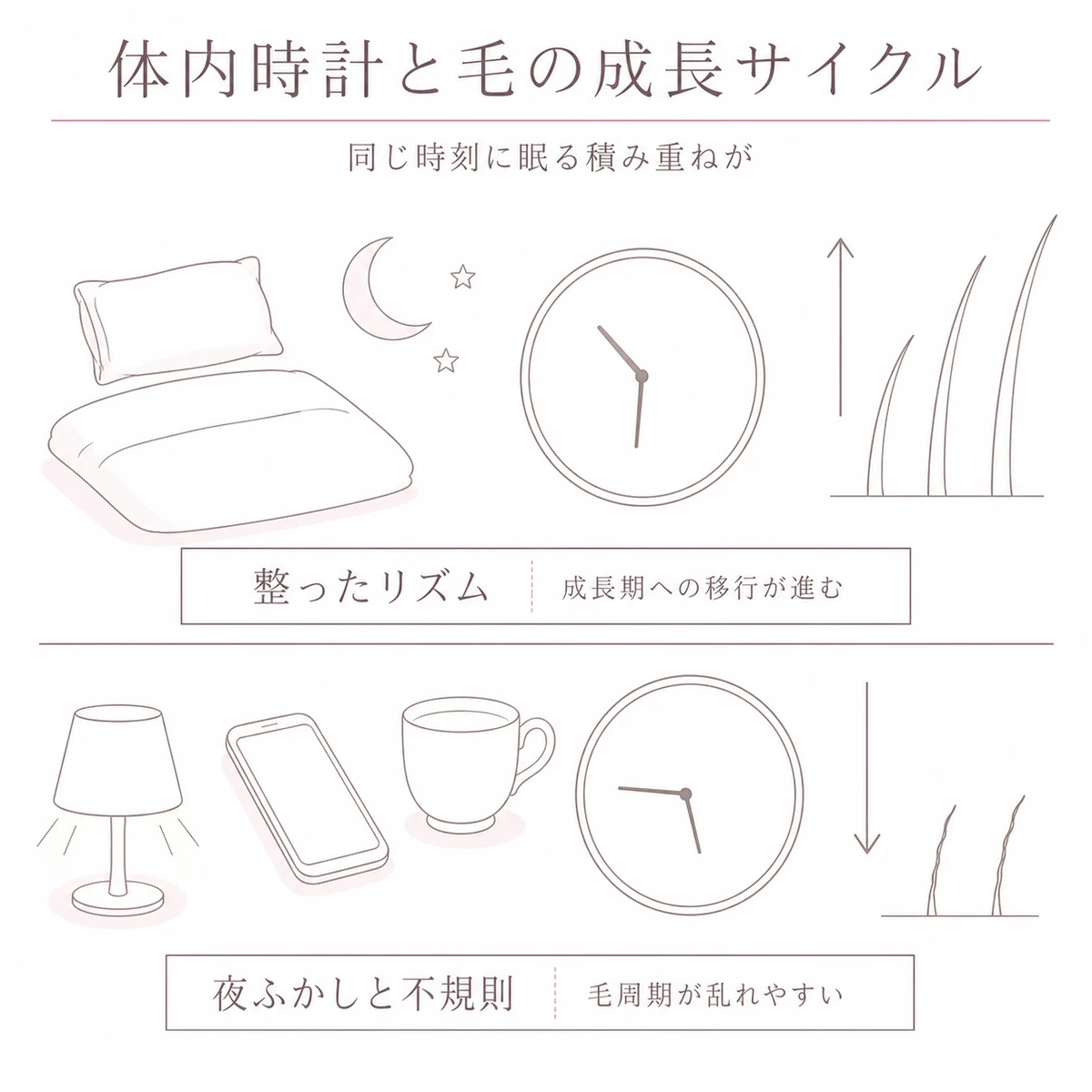 規則正しい就寝と夜更かしとで毛の成長サイクルの進み方が変わることを上下に分けて描いたイラスト