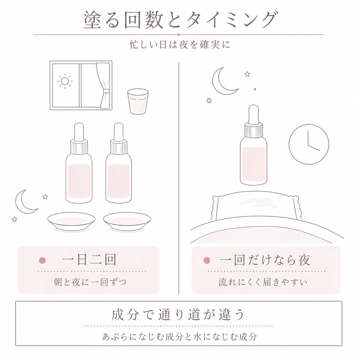 朝と夜の二回塗る場合と夜だけ塗る場合を左右に分けて比べたイラスト