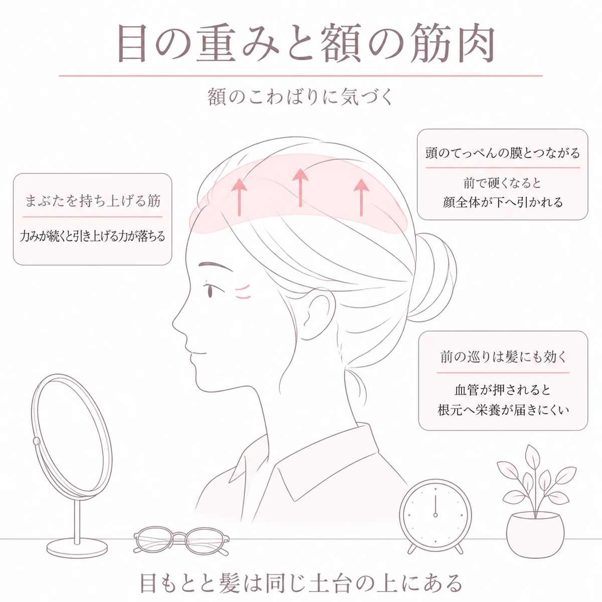 額の筋肉のこわばりがまぶたの重さや髪の栄養にまでつながることを、横から見た頭部の大きな図で表したイラスト