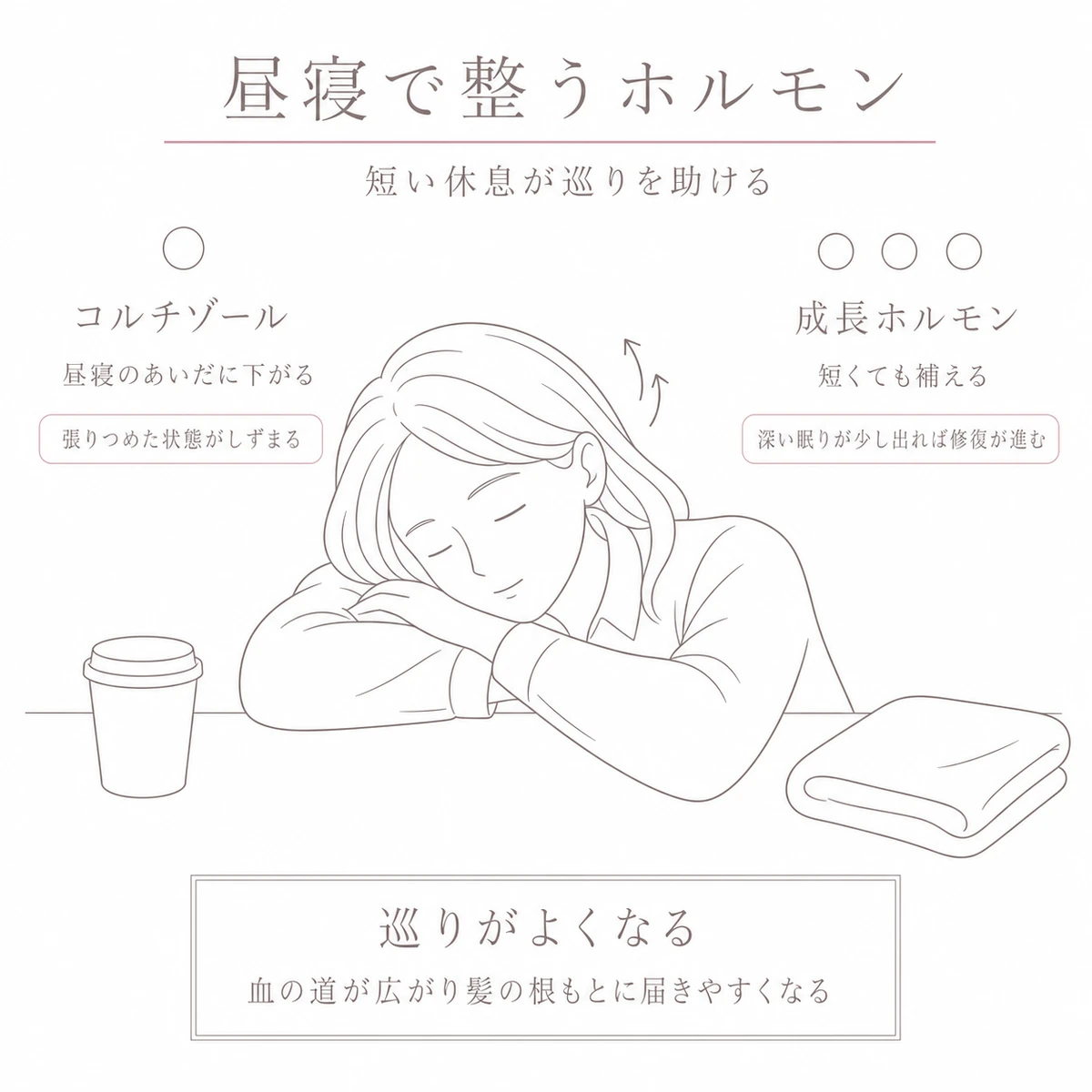 机で短い昼寝をとる女性を中心に、ホルモンと巡りの変化を周囲に配したイラスト