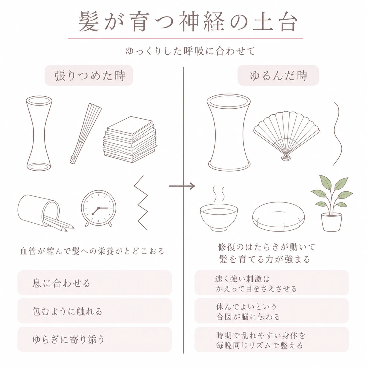 細くすぼまった管とひらいた管を左右に並べ、緊張とゆるみで巡りが変わる様子を対比させた図解イラスト
