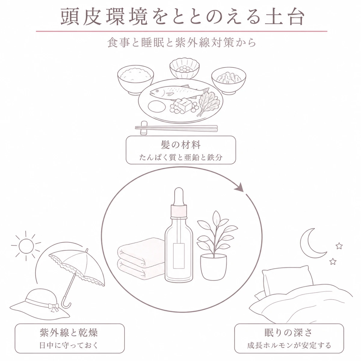 食事と睡眠と紫外線対策が頭皮環境をめぐりながら支える関係を円環で描いた図解イラスト