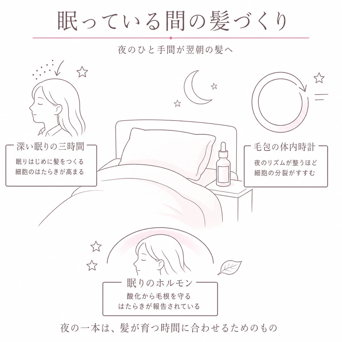 眠っている間に髪をつくる細胞がはたらく仕組みを、寝具と細い円環でまとめたイラスト