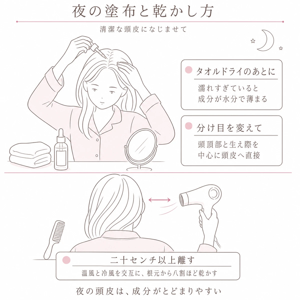 タオルドライ後の育毛剤の塗り方とドライヤーの当て方を上下に分けて描いたイラスト