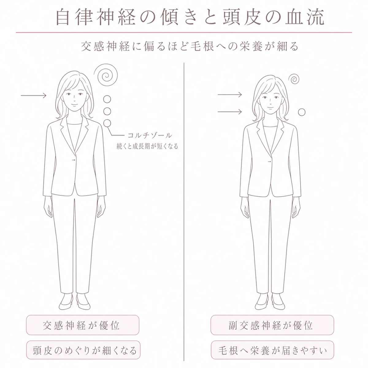 交感神経が優位な姿と副交感神経が優位な姿を並べて頭皮の血流の違いを比べた図