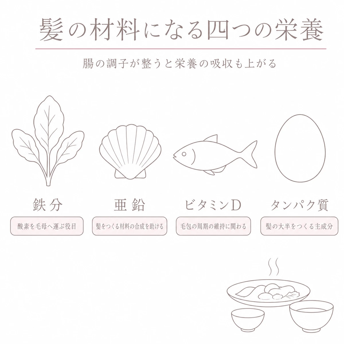 葉物と貝と魚と卵を横に並べ、鉄分と亜鉛とビタミンDとタンパク質のはたらきを添えた図