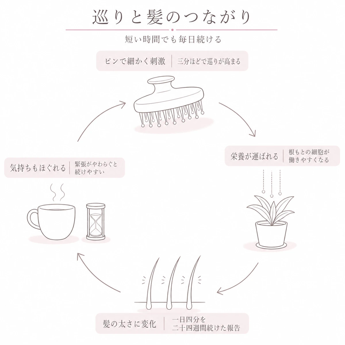 刺激から栄養そして髪の変化までの流れを一周する輪で描いた線画イラスト