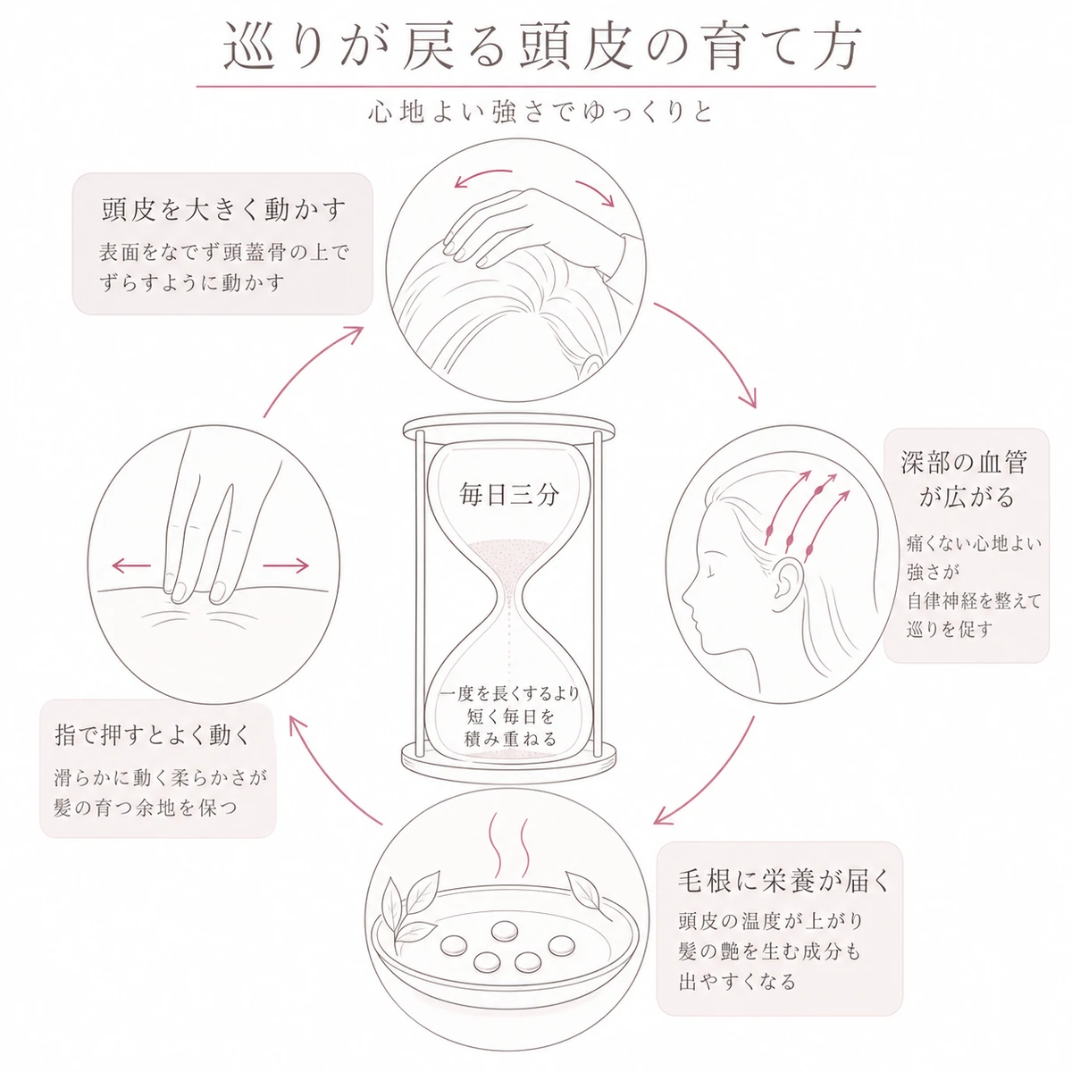 毎日三分の頭皮マッサージが血管の広がりと栄養供給を巡らせるようすを循環図で表したイラスト