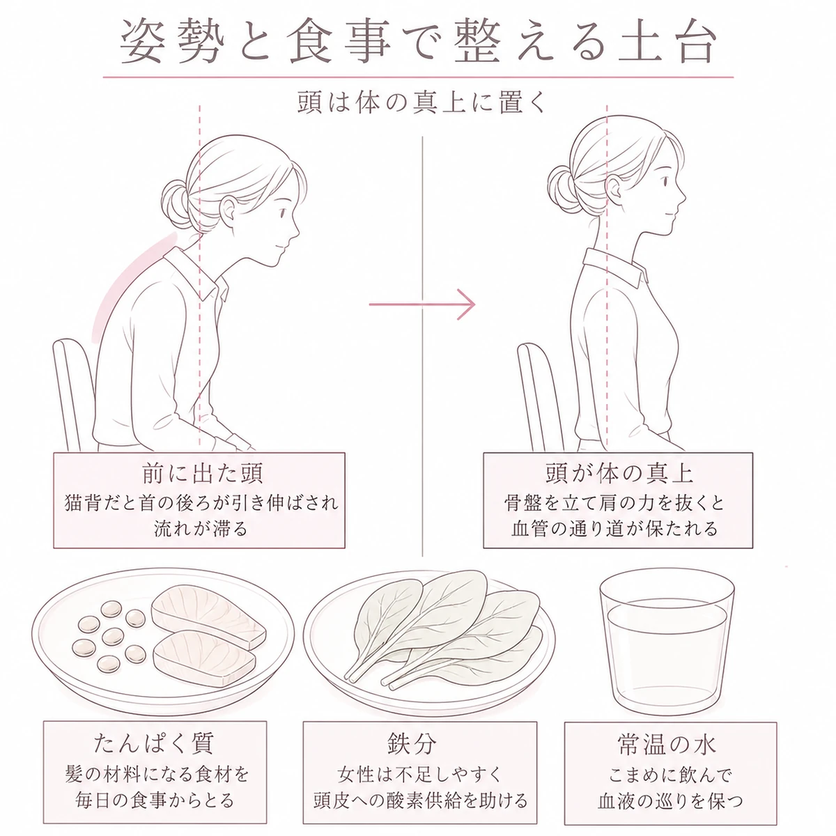 猫背と正しい座り姿勢の対比とたんぱく質や鉄分の食事を組み合わせて髪の土台づくりを表したイラスト