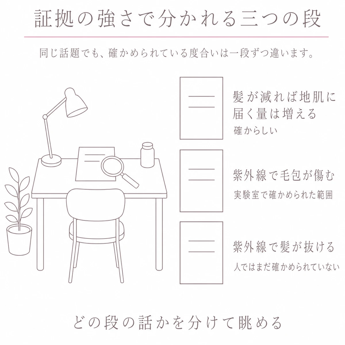 確かめられている度合いの高い順に三段へ並べた、紫外線と抜け毛をめぐる証拠の重なり