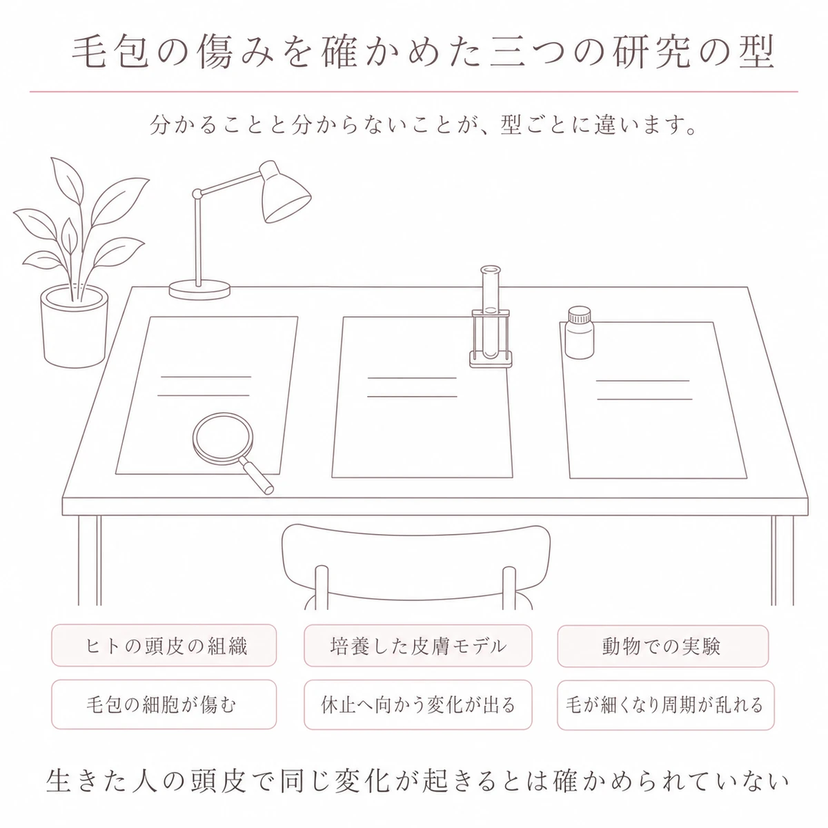 三枚の無地の書類を横に並べ、ヒトの組織と培養モデルと動物という研究の型ごとに分かる範囲を示した図