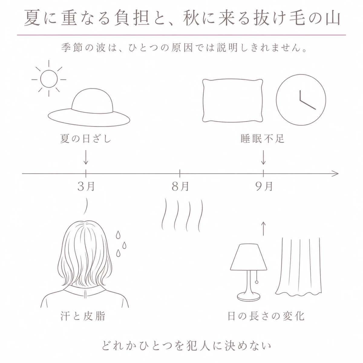 左から右へ伸びる時間の帯に、夏へ合流する四つの負担と八月に増える抜け毛を重ねた図