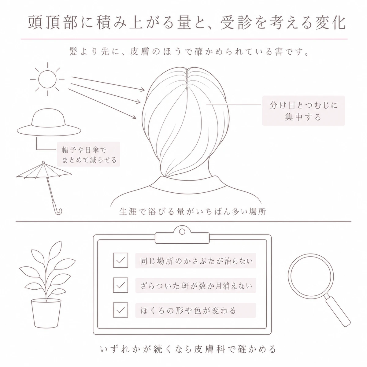 上段に頭頂部へ集まる日ざし、下段に皮膚科で確かめたい地肌の変化を並べた二段の図