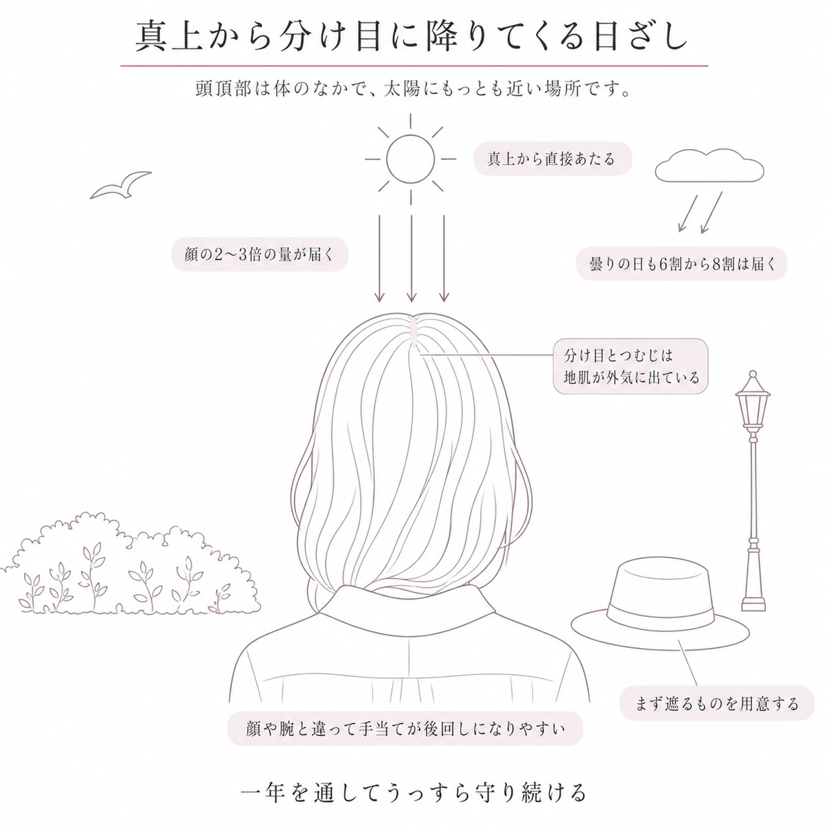 真上の太陽から分け目へ下りる矢印で、頭頂部が受け止める日ざしの多さを示した縦の図