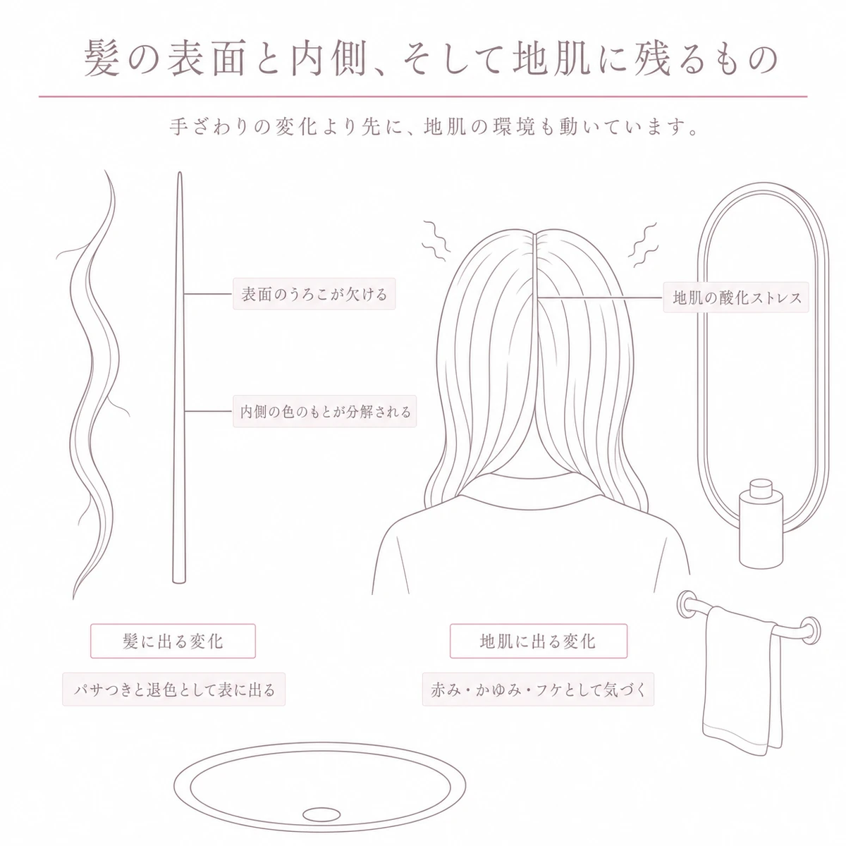 左に一本の髪、右に後ろ姿の頭部を並べ、髪と地肌それぞれに残る紫外線の影響を示した図