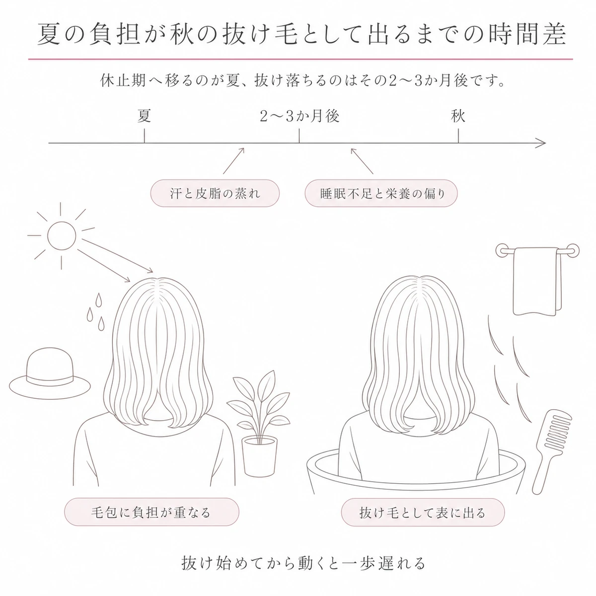 夏から秋へ伸びる時間の帯の上に、負担が重なる時期と抜け毛が表に出る時期のずれを置いた図