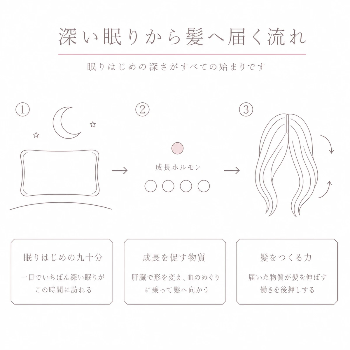 眠りはじめの深い眠りから成長ホルモン、髪が伸びる力へと左から右へつながる流れを描いたイラスト