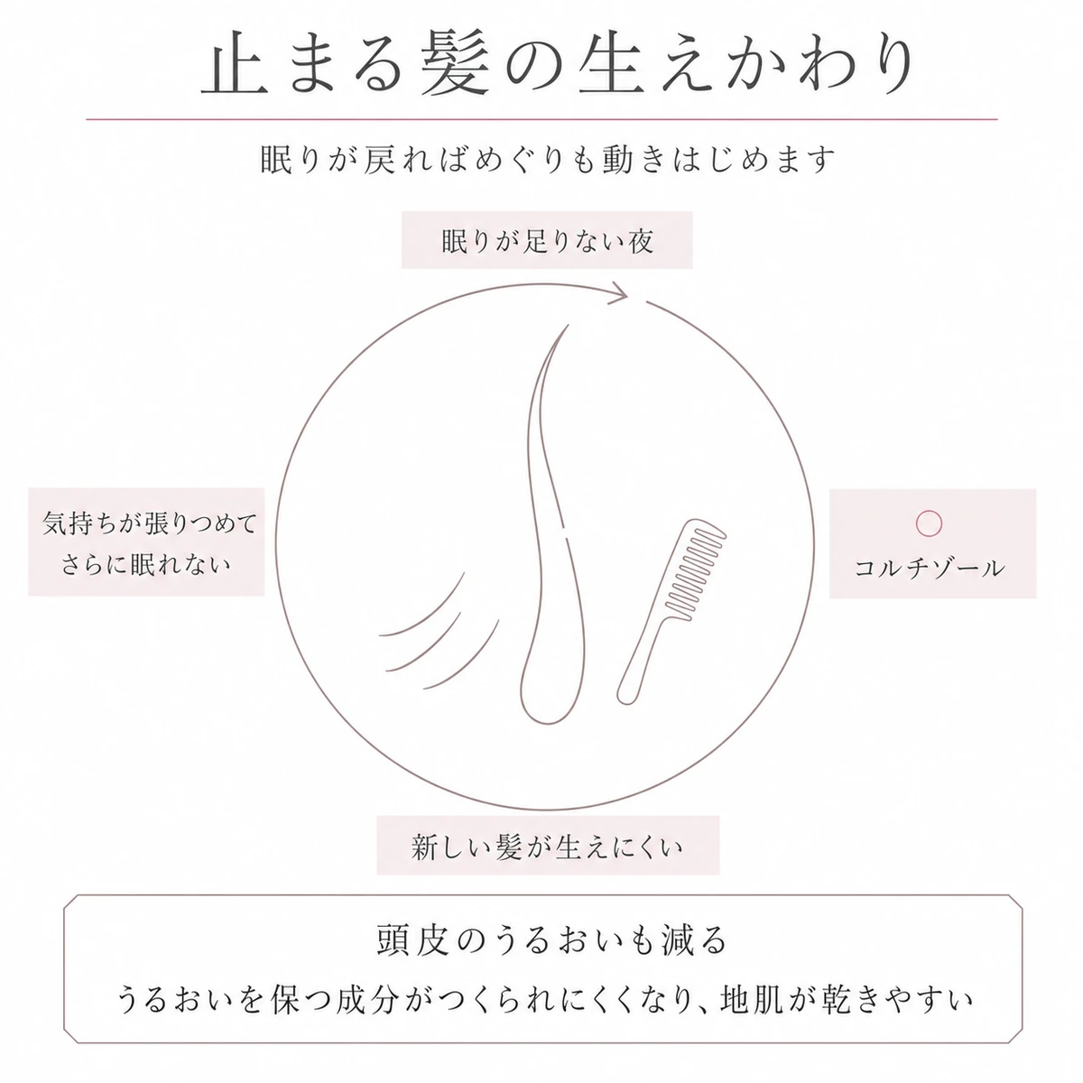 眠れない夜とストレスホルモンの増加が抜け毛につながる悪循環を円環で描いたイラスト