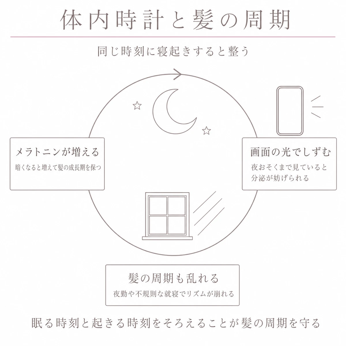 一日のリズムを円環で表し、夜の光がメラトニンを妨げる関係を添えたイラスト