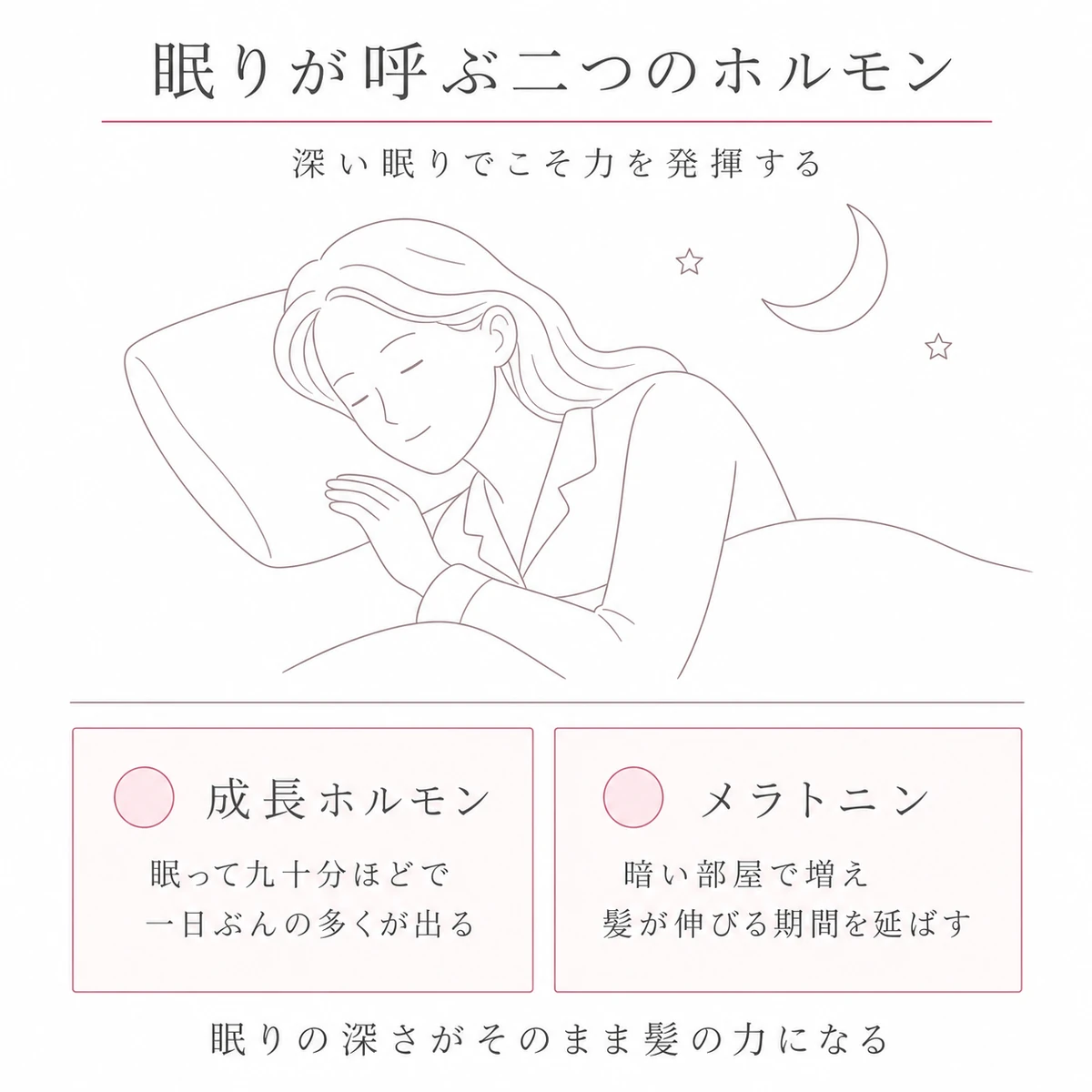 眠る場面とそこで働く二つのホルモンを上下に分けて描いたイラスト