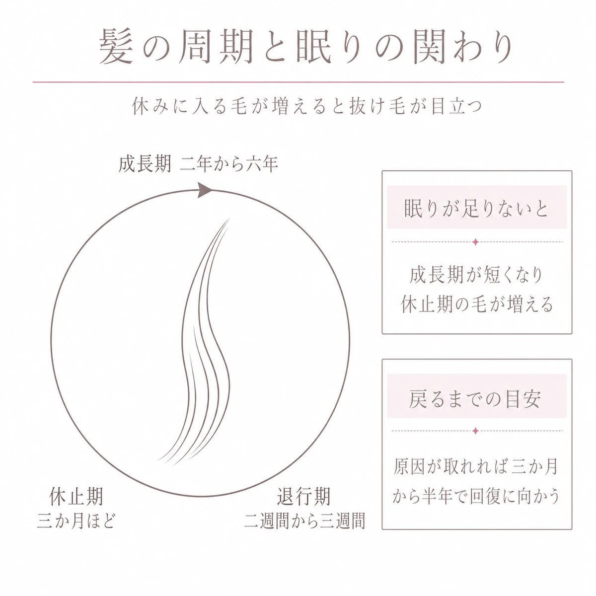 髪の成長の周期を円環で描き睡眠不足による変化を添えたイラスト