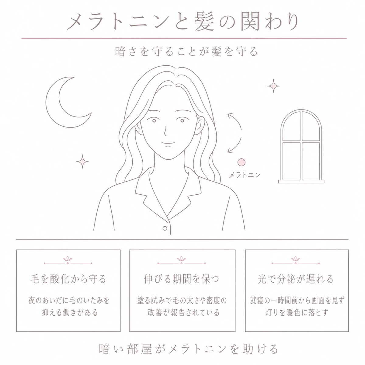 夜の暗さとメラトニンが髪に働く道すじを上下に分けて描いたイラスト
